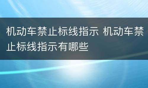 机动车禁止标线指示 机动车禁止标线指示有哪些