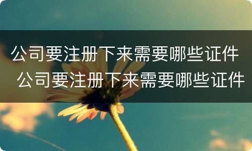 公司要注册下来需要哪些证件 公司要注册下来需要哪些证件和手续