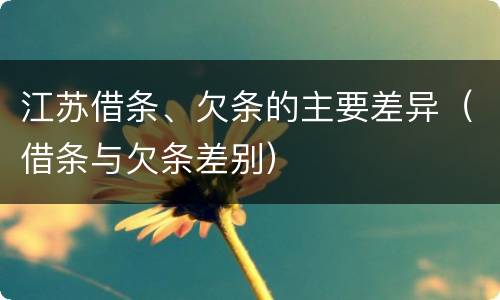 江苏借条、欠条的主要差异（借条与欠条差别）
