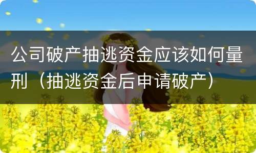 公司破产抽逃资金应该如何量刑（抽逃资金后申请破产）