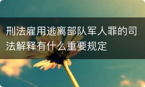刑法雇用逃离部队军人罪的司法解释有什么重要规定