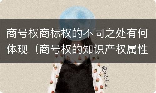 商号权商标权的不同之处有何体现（商号权的知识产权属性）