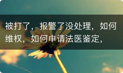 被打了，报警了没处理，如何维权，如何申请法医鉴定，