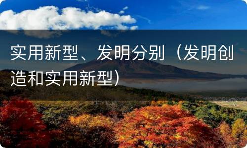 实用新型、发明分别（发明创造和实用新型）