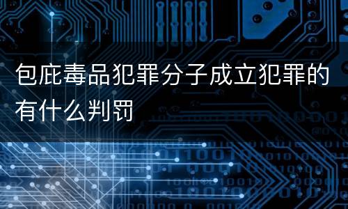 包庇毒品犯罪分子成立犯罪的有什么判罚