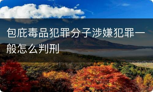 包庇毒品犯罪分子涉嫌犯罪一般怎么判刑