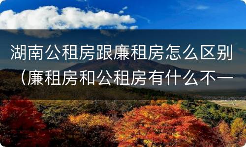 湖南公租房跟廉租房怎么区别（廉租房和公租房有什么不一样）
