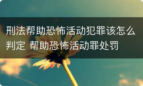 刑法帮助恐怖活动犯罪该怎么判定 帮助恐怖活动罪处罚
