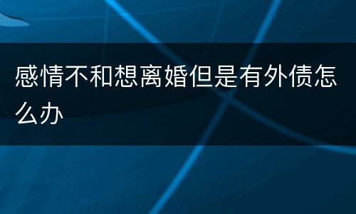 感情不和想离婚但是有外债怎么办