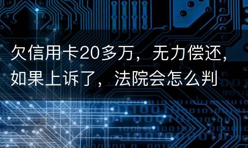欠信用卡20多万，无力偿还，如果上诉了，法院会怎么判