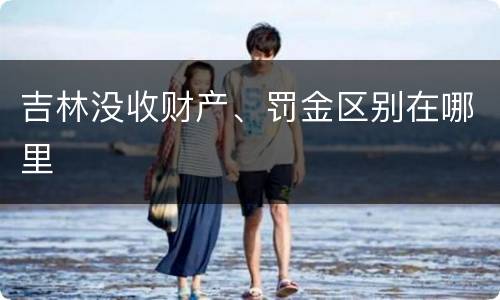 吉林没收财产、罚金区别在哪里
