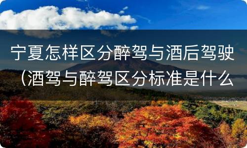 宁夏怎样区分醉驾与酒后驾驶（酒驾与醉驾区分标准是什么?）