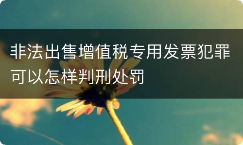 非法出售增值税专用发票犯罪可以怎样判刑处罚