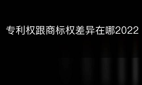 专利权跟商标权差异在哪2022