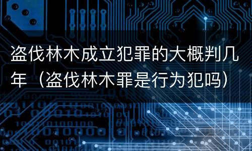 盗伐林木成立犯罪的大概判几年（盗伐林木罪是行为犯吗）