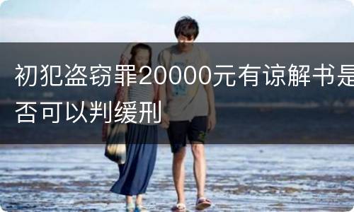初犯盗窃罪20000元有谅解书是否可以判缓刑