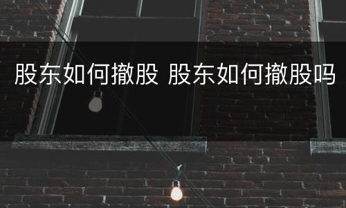 股东如何撤股 股东如何撤股吗