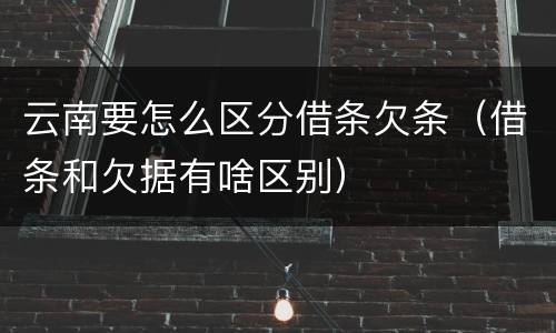 云南要怎么区分借条欠条（借条和欠据有啥区别）