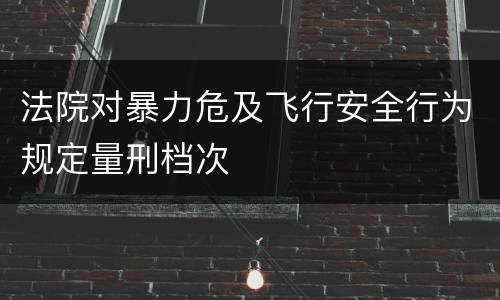 法院对暴力危及飞行安全行为规定量刑档次