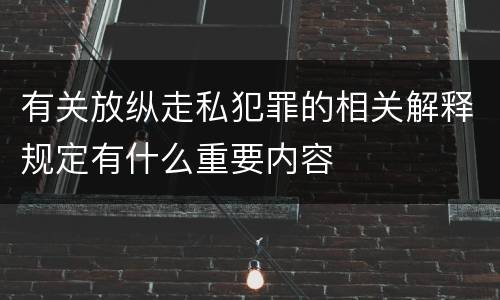 有关放纵走私犯罪的相关解释规定有什么重要内容