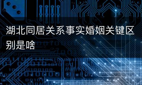 湖北同居关系事实婚姻关键区别是啥