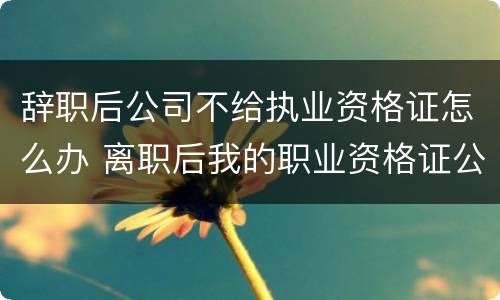 辞职后公司不给执业资格证怎么办 离职后我的职业资格证公司不给我