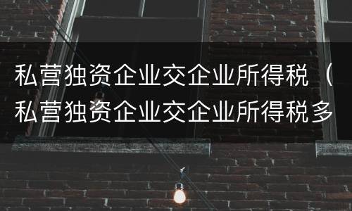 私营独资企业交企业所得税（私营独资企业交企业所得税多少）