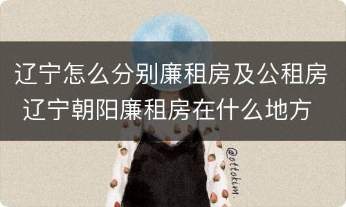 辽宁怎么分别廉租房及公租房 辽宁朝阳廉租房在什么地方