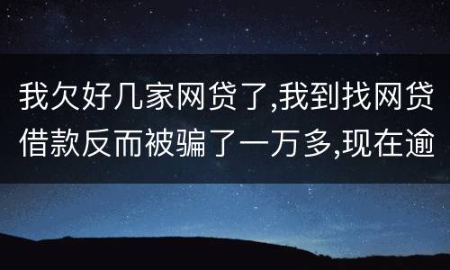 我欠好几家网贷了,我到找网贷借款反而被骗了一万多,现在逾期了好几家了,我给怎么办