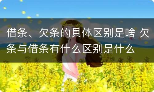 借条、欠条的具体区别是啥 欠条与借条有什么区别是什么