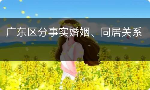 广东区分事实婚姻、同居关系
