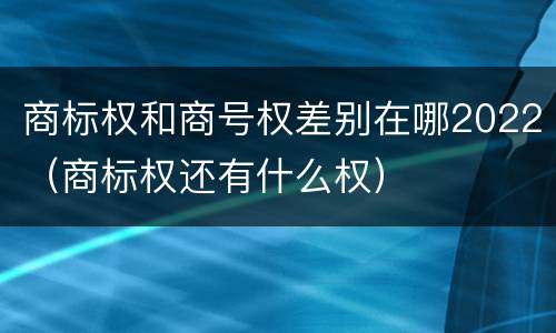 商标权和商号权差别在哪2022（商标权还有什么权）