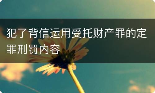 犯了背信运用受托财产罪的定罪刑罚内容