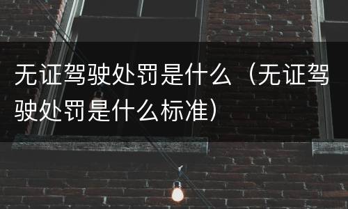 无证驾驶处罚是什么（无证驾驶处罚是什么标准）