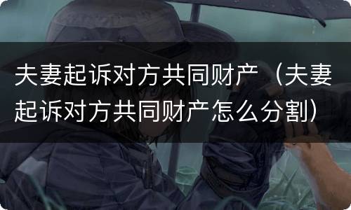 夫妻起诉对方共同财产（夫妻起诉对方共同财产怎么分割）