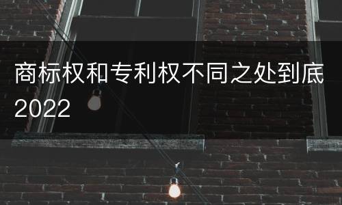 商标权和专利权不同之处到底2022