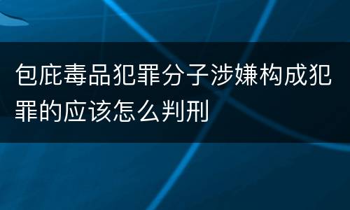 包庇毒品犯罪分子涉嫌构成犯罪的应该怎么判刑