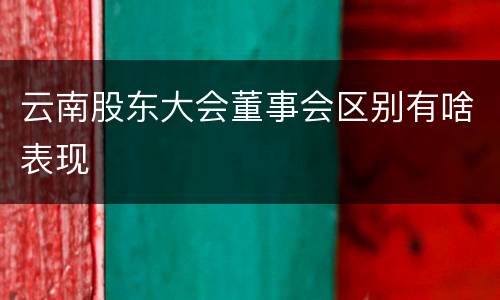 云南股东大会董事会区别有啥表现