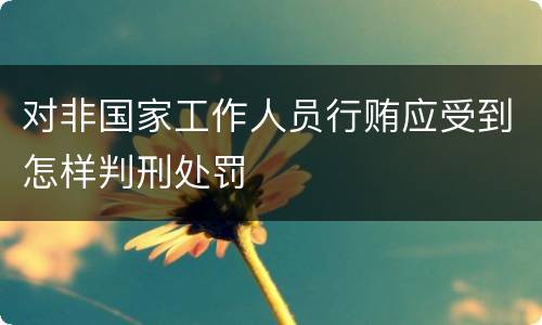 对非国家工作人员行贿应受到怎样判刑处罚