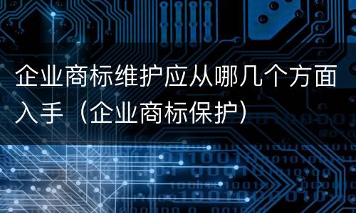 企业商标维护应从哪几个方面入手（企业商标保护）