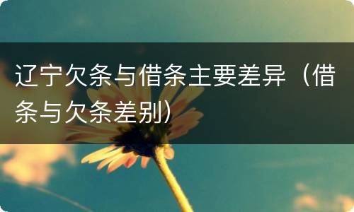 辽宁欠条与借条主要差异（借条与欠条差别）