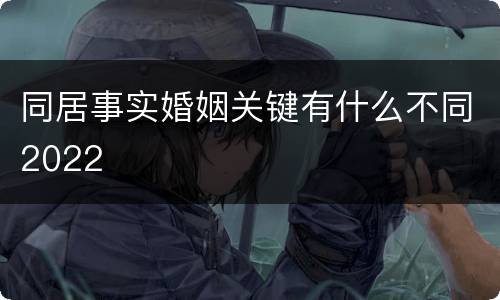 同居事实婚姻关键有什么不同2022