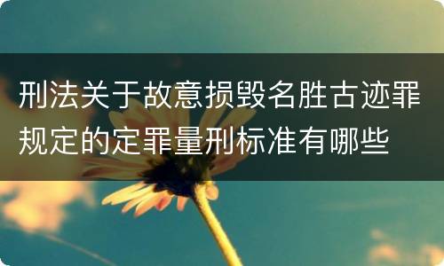 刑法关于故意损毁名胜古迹罪规定的定罪量刑标准有哪些