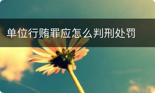 单位行贿罪应怎么判刑处罚