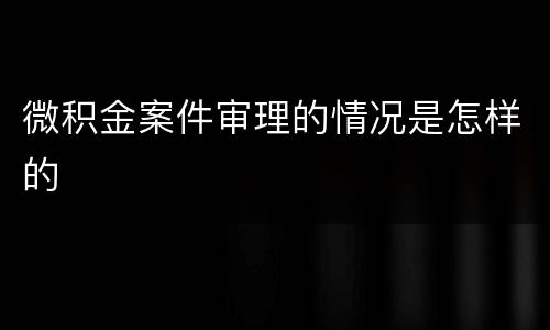 微积金案件审理的情况是怎样的