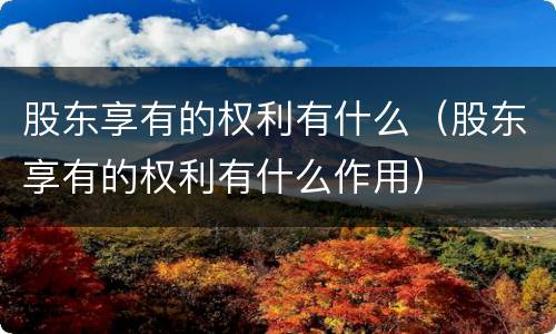 股东享有的权利有什么（股东享有的权利有什么作用）