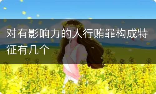 对有影响力的人行贿罪构成特征有几个
