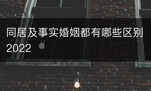 同居及事实婚姻都有哪些区别2022
