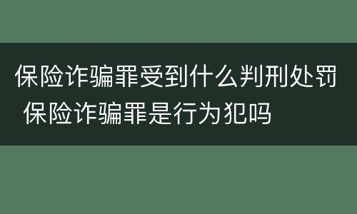 保险诈骗罪受到什么判刑处罚 保险诈骗罪是行为犯吗