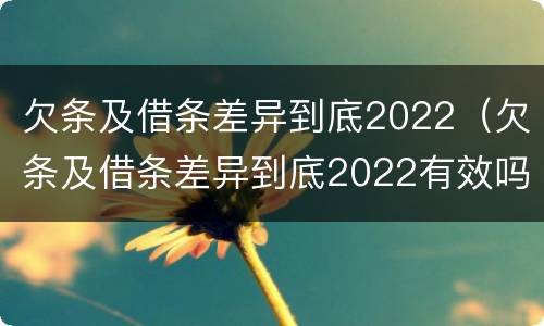 欠条及借条差异到底2022（欠条及借条差异到底2022有效吗）